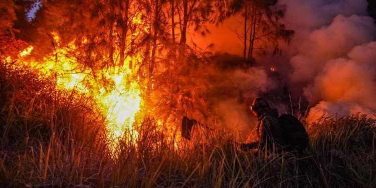 Wagub Jatim Sebut Dugaan Awal Kebakaran Bromo Akibat Kelalaian Manusia
