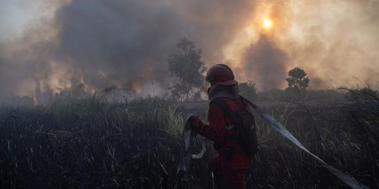 Karhutla Kalsel Meningkat, Penambahan Pasukan Darat dan Water Bombing