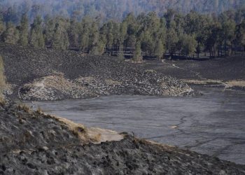 Karhutla Gunung Semeru Berhasil Dipadamkan Menghanguskan 3072 Hektare Lahan