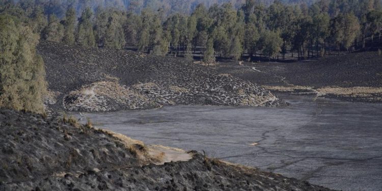 Karhutla Gunung Semeru Berhasil Dipadamkan Menghanguskan 3072 Hektare Lahan