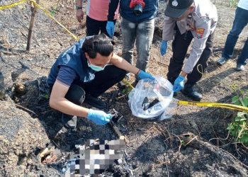 Kerangka Manusia Ditemukan di Wilayah Bekas Kebakaran Hutan