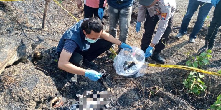 Kerangka Manusia Ditemukan di Wilayah Bekas Kebakaran Hutan