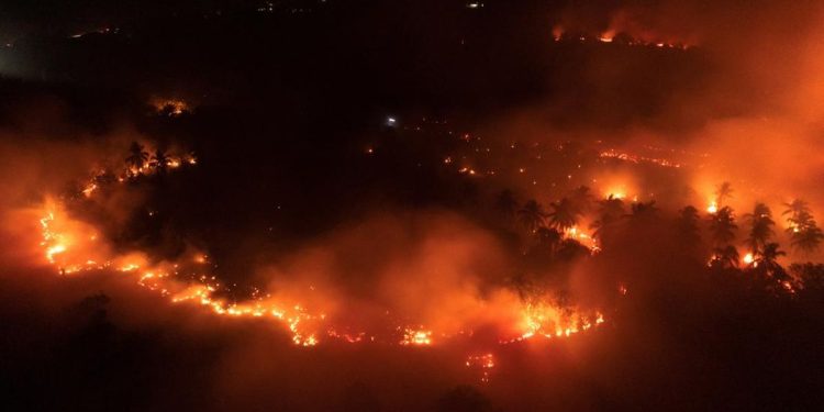 Kebakaran di Kawasan Gunung Ijen, Api Meluas di Area Cagar Alam