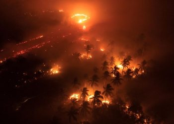 19 Perusahaan Diduga Penyebab Utama Kasus ISPA yang Meningkat