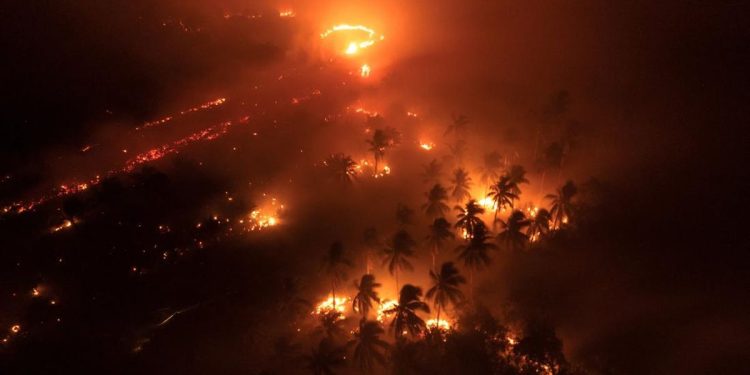 19 Perusahaan Diduga Penyebab Utama Kasus ISPA yang Meningkat