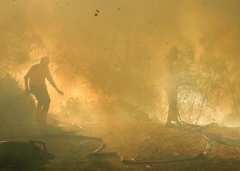 Karhutla Gunung Merapi di TWA Kawah Ijen Mencapai Luasan 20 Hektare