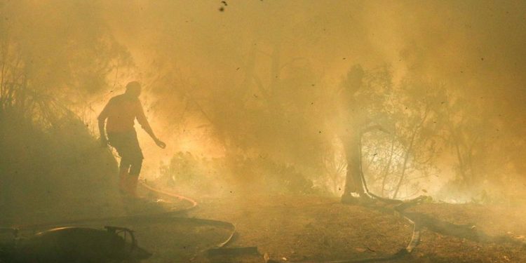 Karhutla Gunung Merapi di TWA Kawah Ijen Mencapai Luasan 20 Hektare