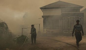 Akses Sulit dan Krisis Air Halangi Pemadaman Karhutla di Kalimantan