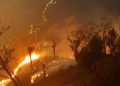 Polri Tetapkan 245 Tersangka Karhutla dengan Lahan Terbakar 5.859 Hektare