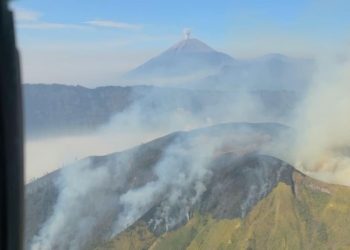 Karhutla Terjadi di Lima Kawasan Gunung Jawa Timur
