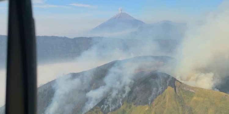 Karhutla Terjadi di Lima Kawasan Gunung Jawa Timur