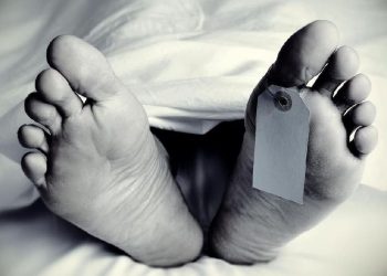 Polisi Hutan Meninggal Terkena Pohon Saat Memadamkan Karhutla di Toraja Utara