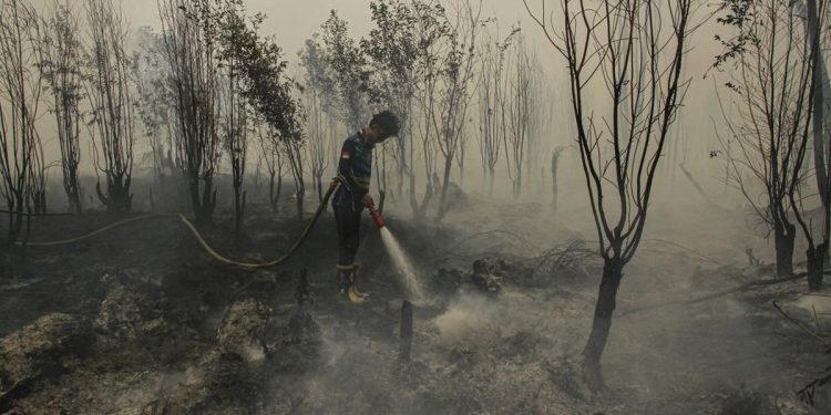 Minim Dukungan, Relawan Karhutla Tanjung Puting Menghadapi Kesulitan