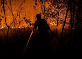 9 Relawan Tewas Dalam Upaya Memadamkan Kebakaran Hutan dan Lahan