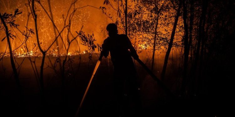 9 Relawan Tewas Dalam Upaya Memadamkan Kebakaran Hutan dan Lahan