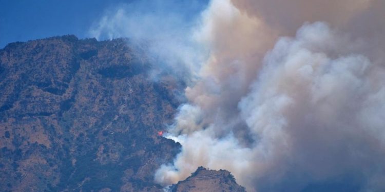 779 Hektare Hutan Gunung Sumbing Terbakar, Api Masih Menyala