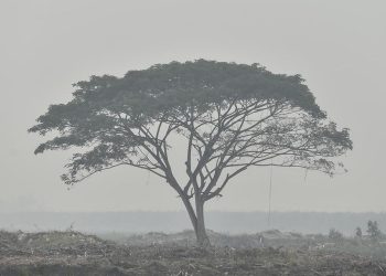 Karhutla Jambi Dilaporkan Membaik Dengan Titik Panas Nihil