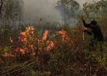 Malaysia Siap Berikan Bantuan Pesawat dan Helikopter Atasi Kebakaran Hutan dan Lahan