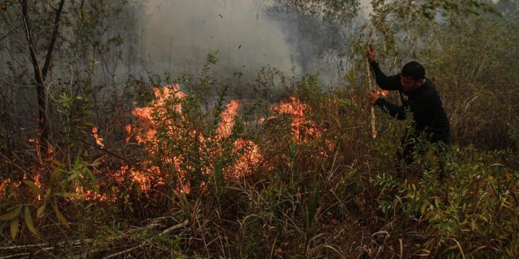Malaysia Siap Berikan Bantuan Pesawat dan Helikopter Atasi Kebakaran Hutan dan Lahan