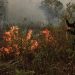 Malaysia Siap Berikan Bantuan Pesawat dan Helikopter Atasi Kebakaran Hutan dan Lahan