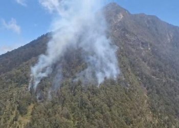 110 Pendaki Arjuno-Welirang Dievakuasi Akibat Karhutla, Semua Selamat